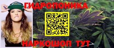 индика Апрелевка