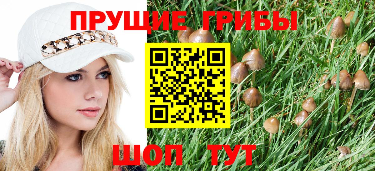 где можно купить   Вход с VPN  Всеволожск  Псилоцибиновые грибы Magic Shrooms 